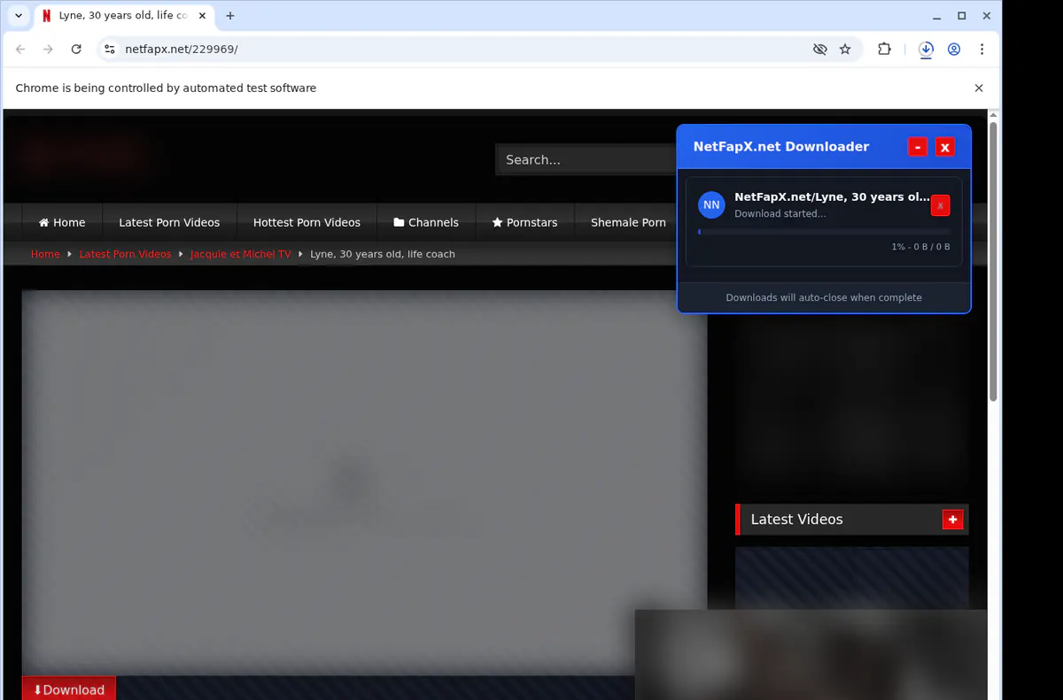 Netfapxnet Video Downloader browser extension screenshot 2