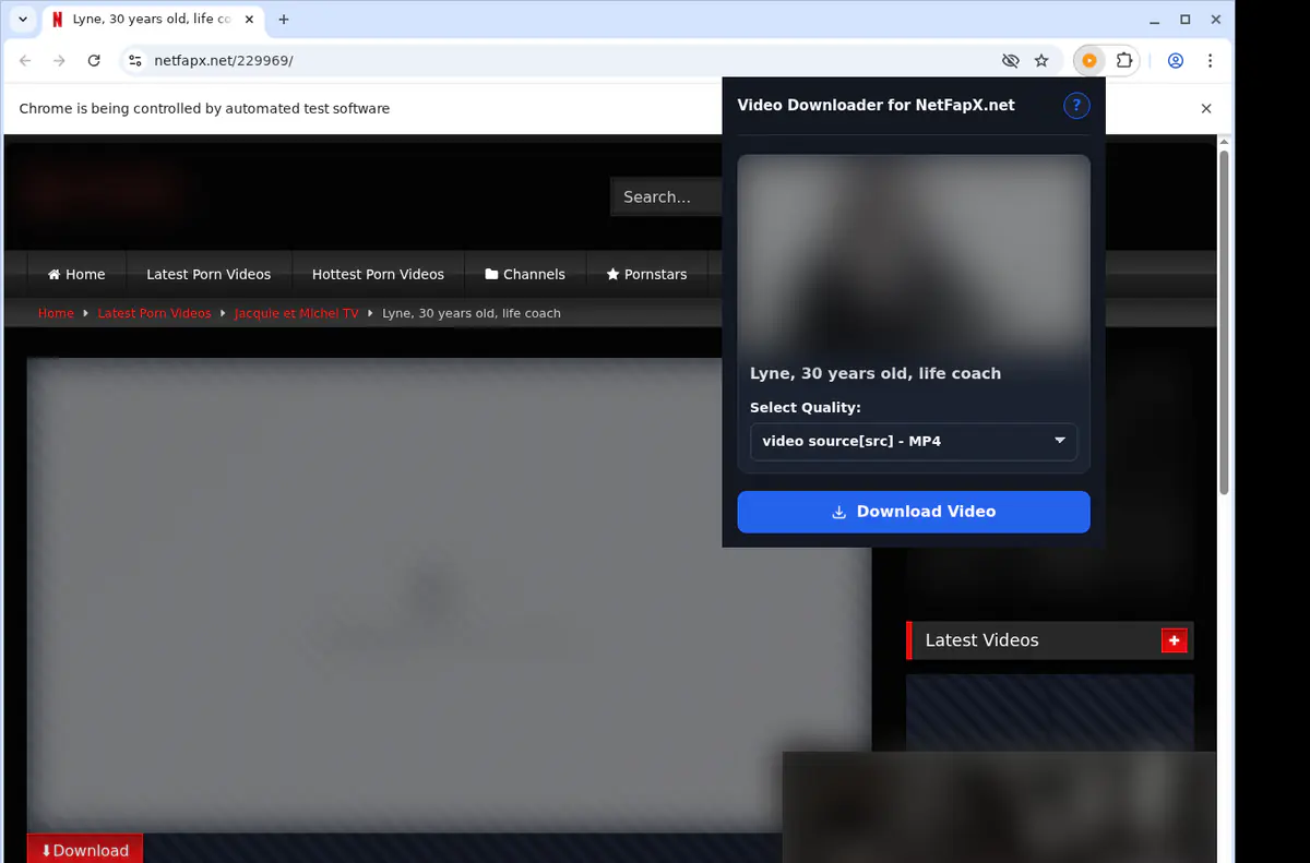 Netfapxnet Video Downloader browser extension screenshot 3