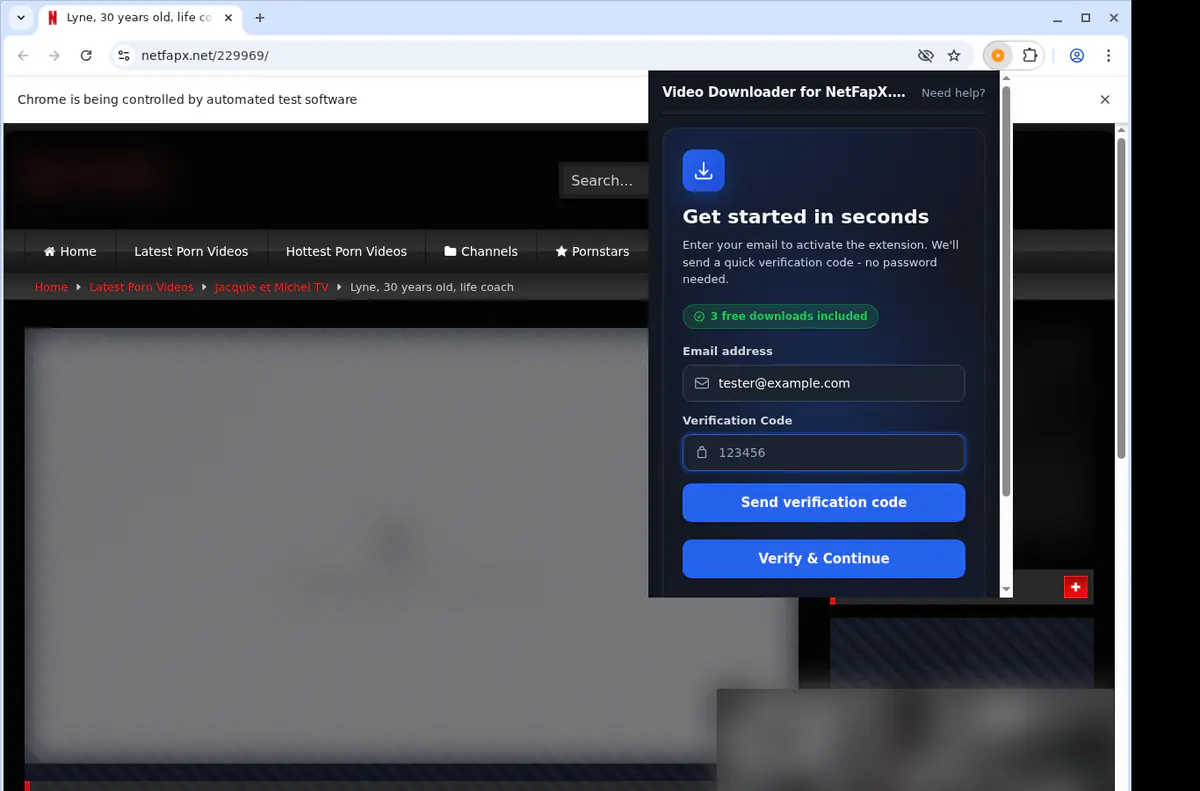 Netfapxnet Video Downloader browser extension screenshot 4