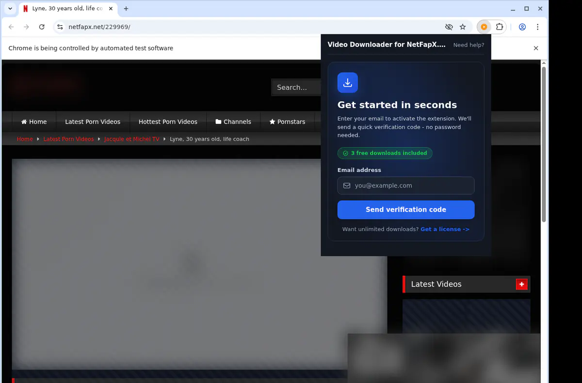 Netfapxnet Video Downloader browser extension screenshot 5
